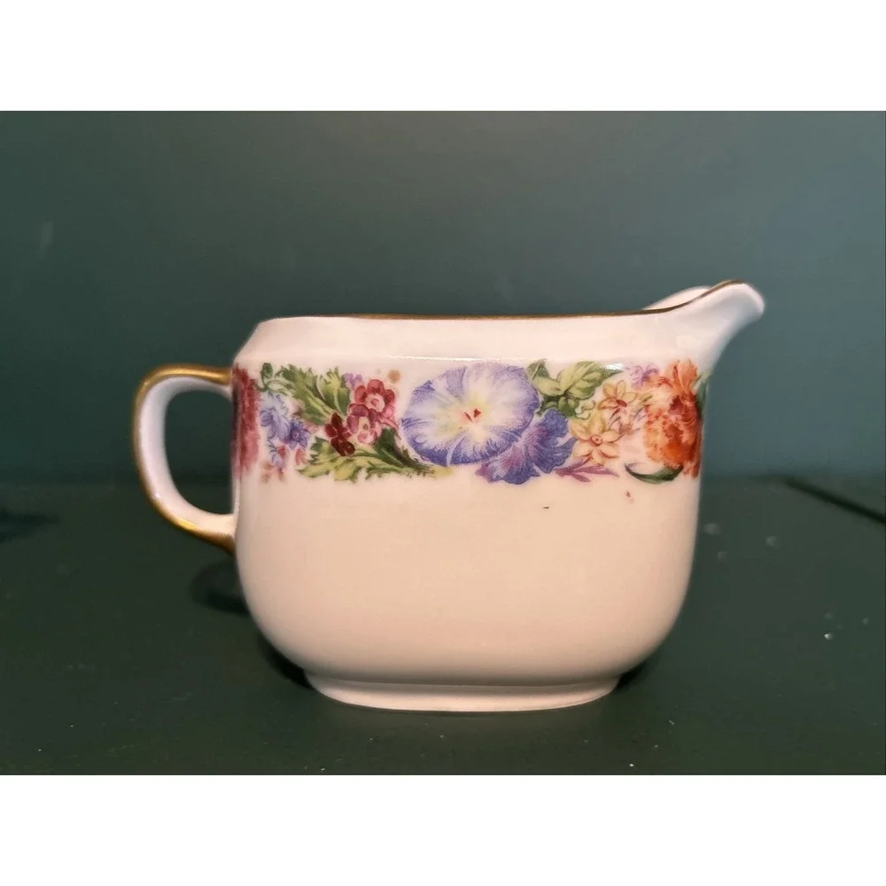 Vintage‎ 1930s Epiag Aich Czechoslovakia Floral Rare Pattern Creamer and Sugar